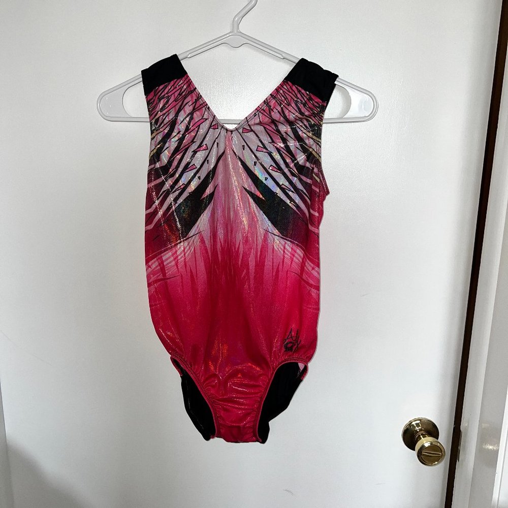 Aly Raisman leo - pink - GK AL